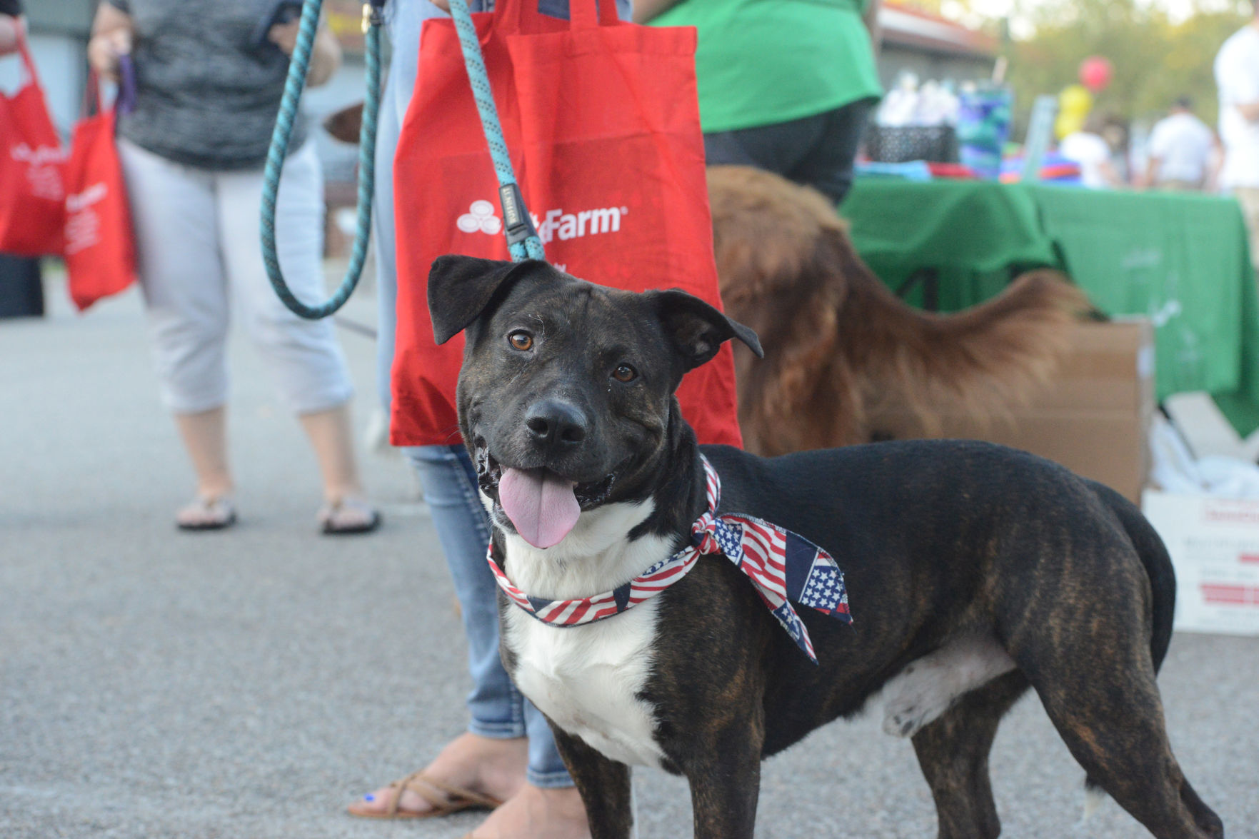 Barktober in Danville